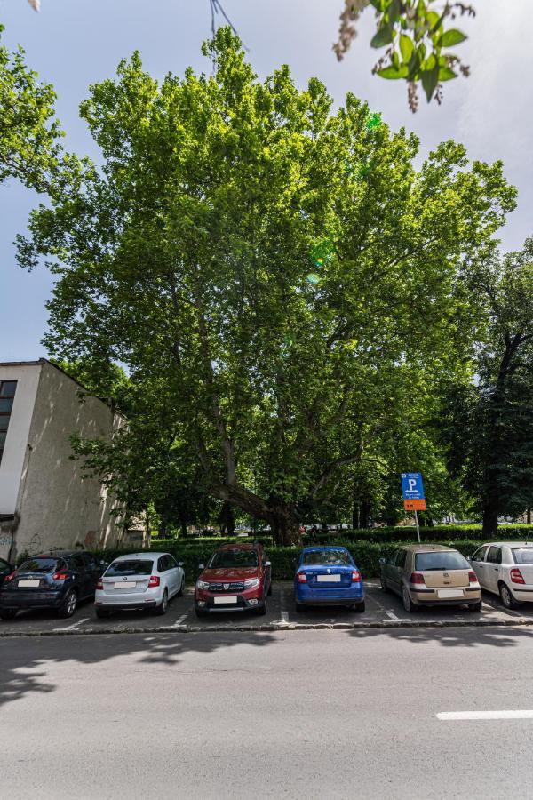 Sabin Apartments Private Parking Brašov Exteriér fotografie